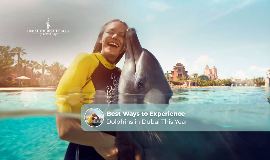 imagebestwaystoexperiencedolphinsindubaithisyear.png