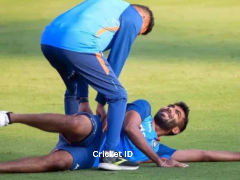 cricketid.jpg