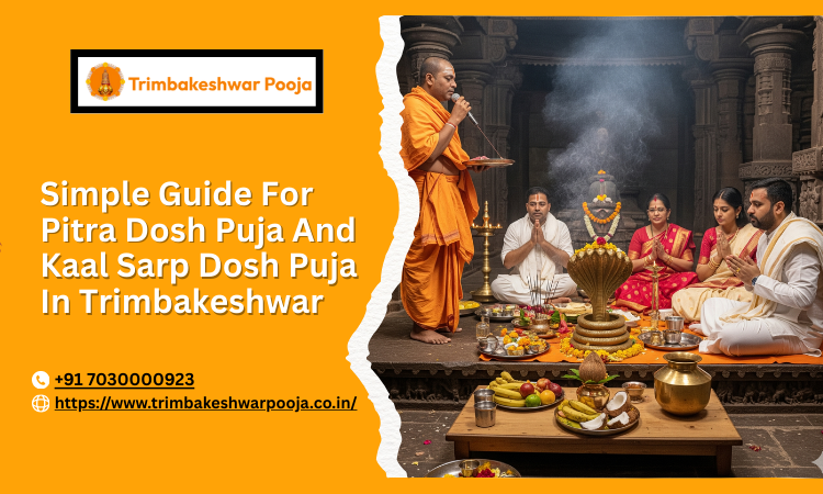 simpleguideforpitradoshpujaandkaalsarpdoshpujaintrimbakeshwar.png