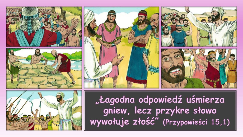 pl_vm2025t411.jpg