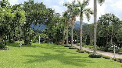 rehabthailand.jpg