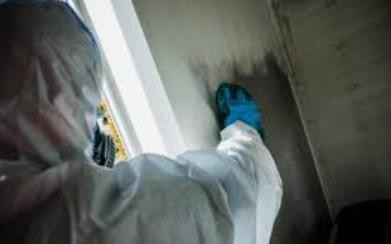 sootcleaningservices.jpg