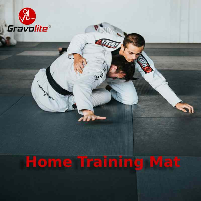 martialartshometrainingmatsgravolite0208.jpg