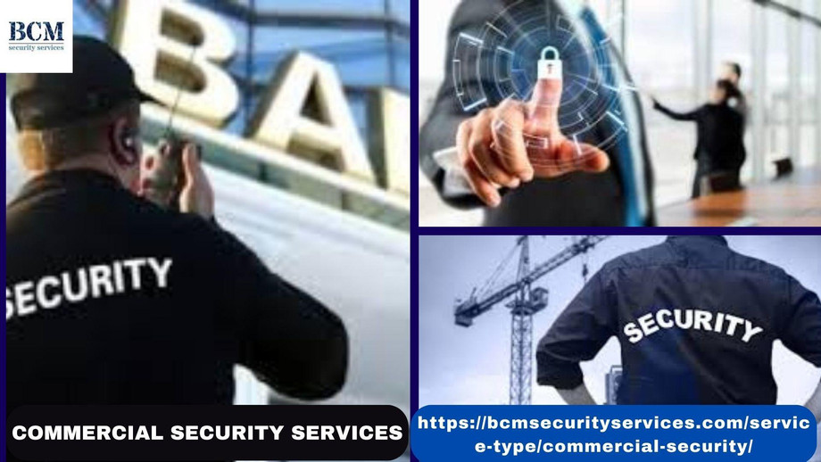 commercialsecurityservices3.jpg