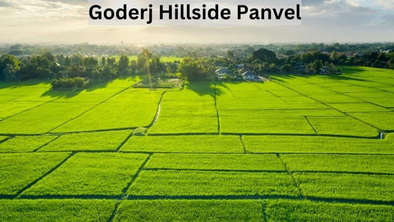 goderjhillsidepanvel.jpg