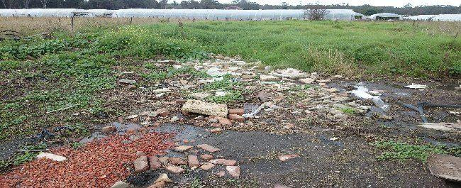 Phase 1 Contamination Report Sydney: The bottom line 