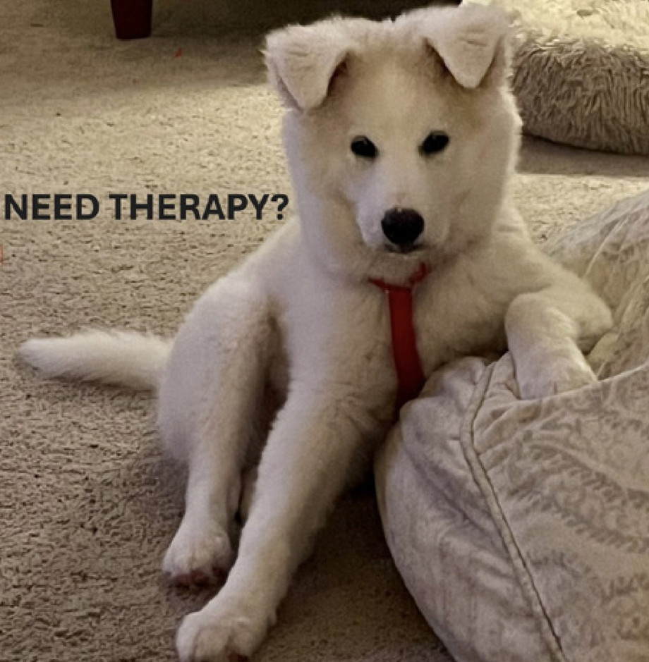 imgi_23_puppyplaytimememe.jpeg