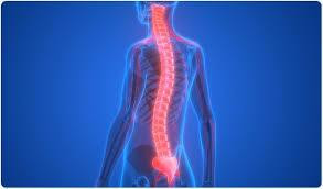 spinalmuscularatrophymarket5.jpg