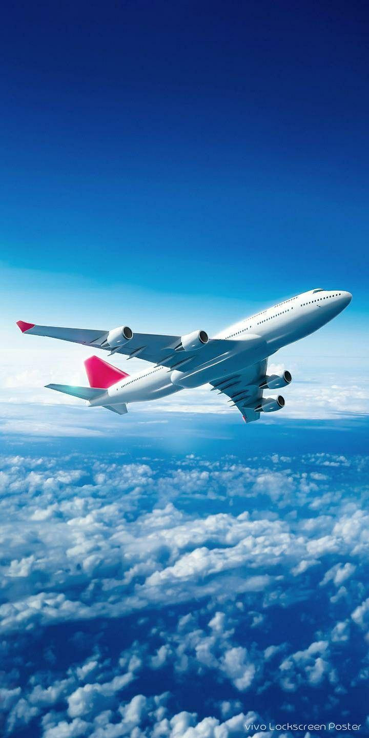 flight.jpg