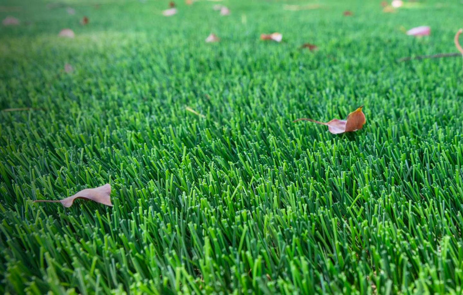 turfgrassbackground.jpg