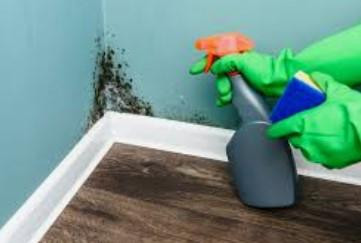 mouldcleaningservices.jpg