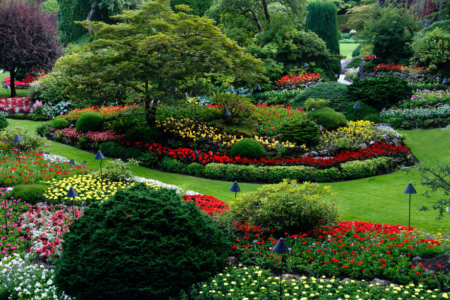 landscapingpotomac.jpg