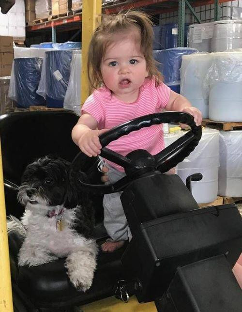 toddlerdrivingforkliftcropped.jpg