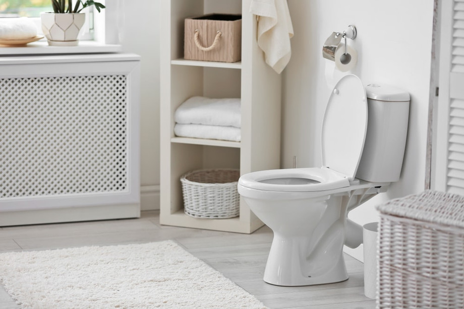 toiletrepair.jpg