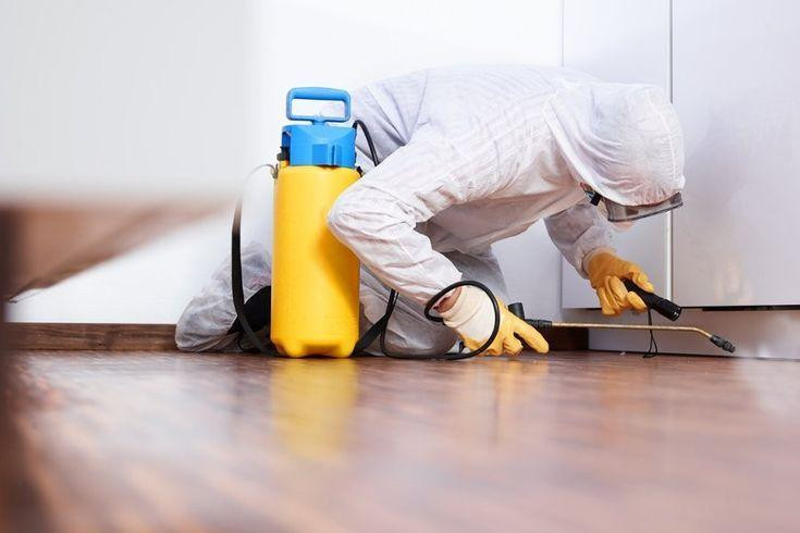 pestcontrolcompany.jpg