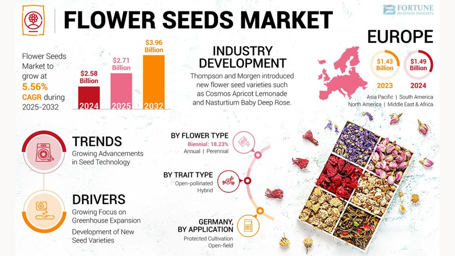 flowerseedsmarket1.jpg