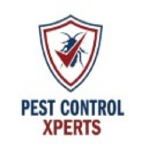 logo.jpg