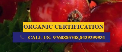 organiccertificationinindia.jpg