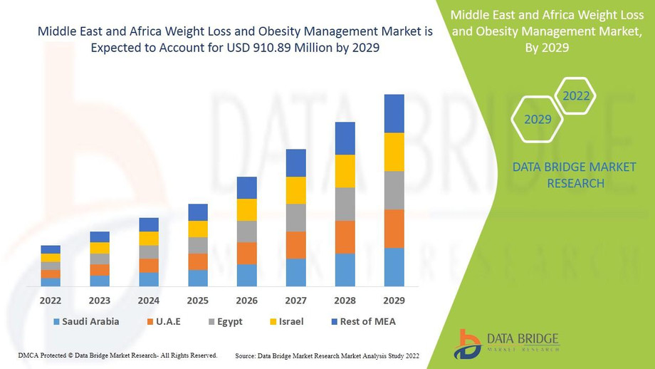 middleeastandafricaweightlossandobesitymanagementmarket.jpg