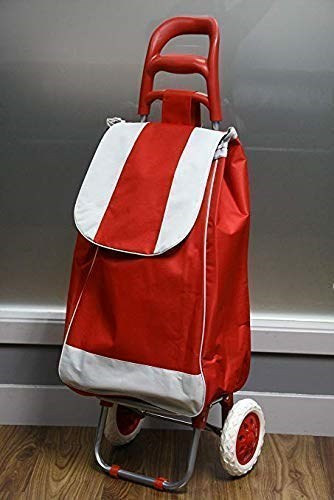 shoppingtrolleywithdetachablebag.jpg