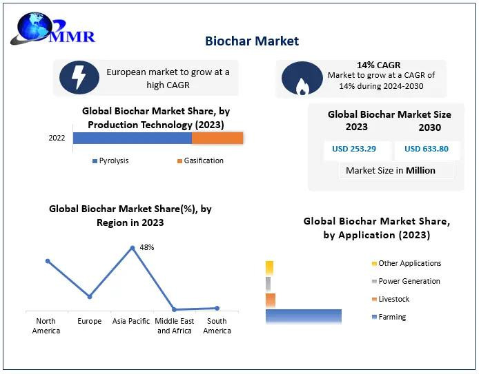 biocharmarket674d6d7096829.jpg