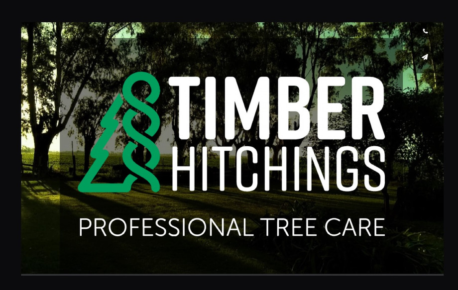 treefellingulverstoncumbria.jpg