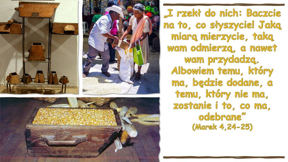 pl_vm2024t304.jpg