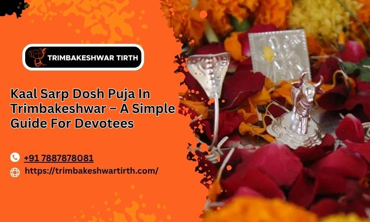 kaalsarpdoshpujaintrimbakeshwarasimpleguidefordevotees.jpg
