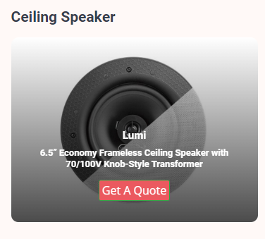 lumi65economyframelessceilingspeakerwith70100vknobstyletransformer.PNG