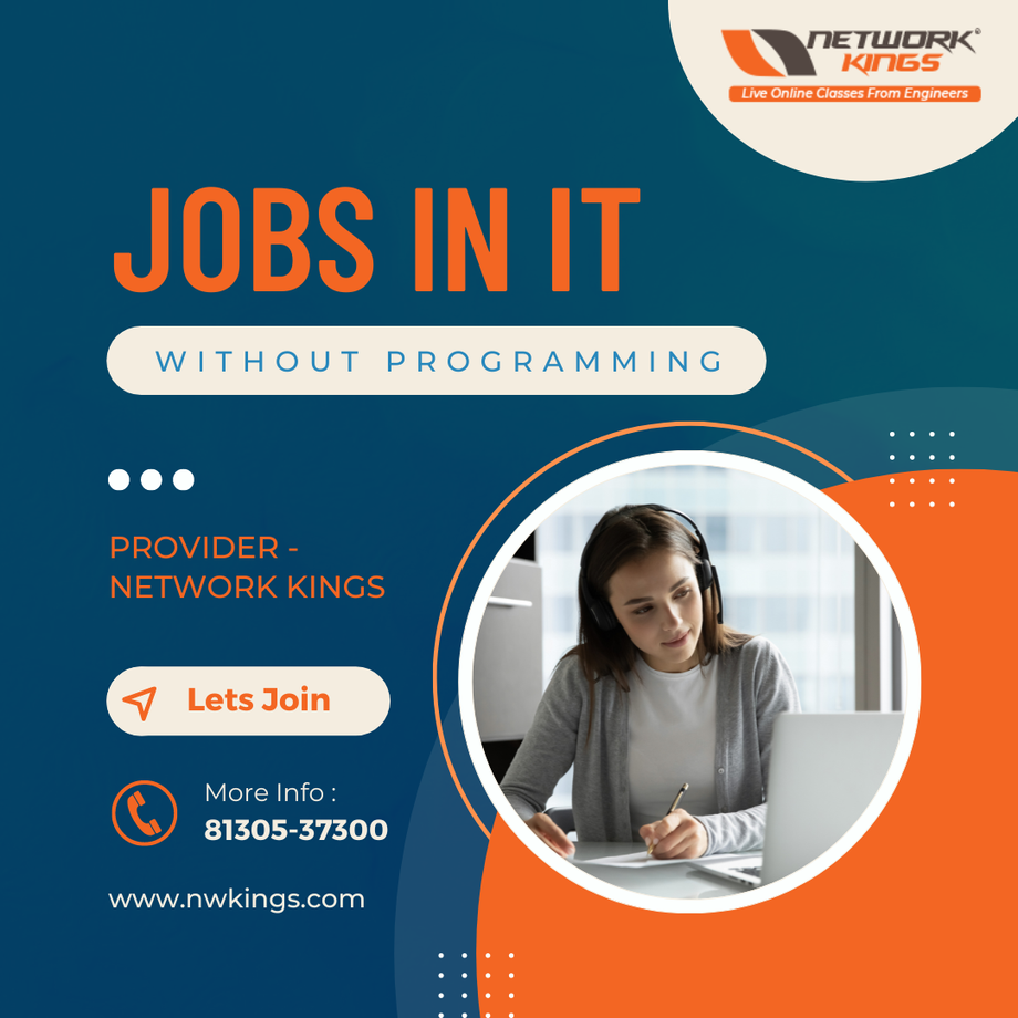 jobsinitwithoutprogramming.png