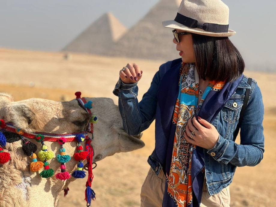 camelandpyramids.jpeg