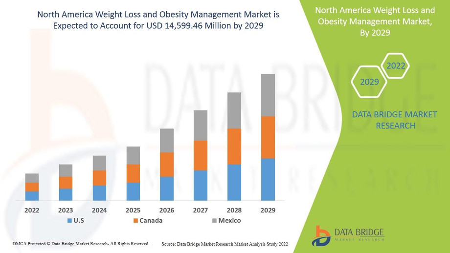 northamericaweightlossandobesitymanagementmarket.jpg