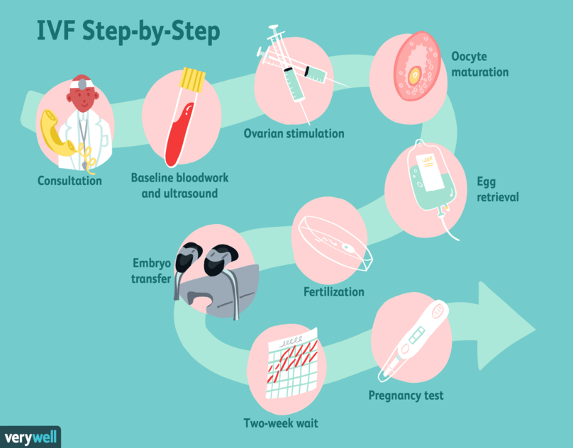 understandingivftreatmentstepbystep1960200_color35b84208dc9e77c0050b1f5f51.png