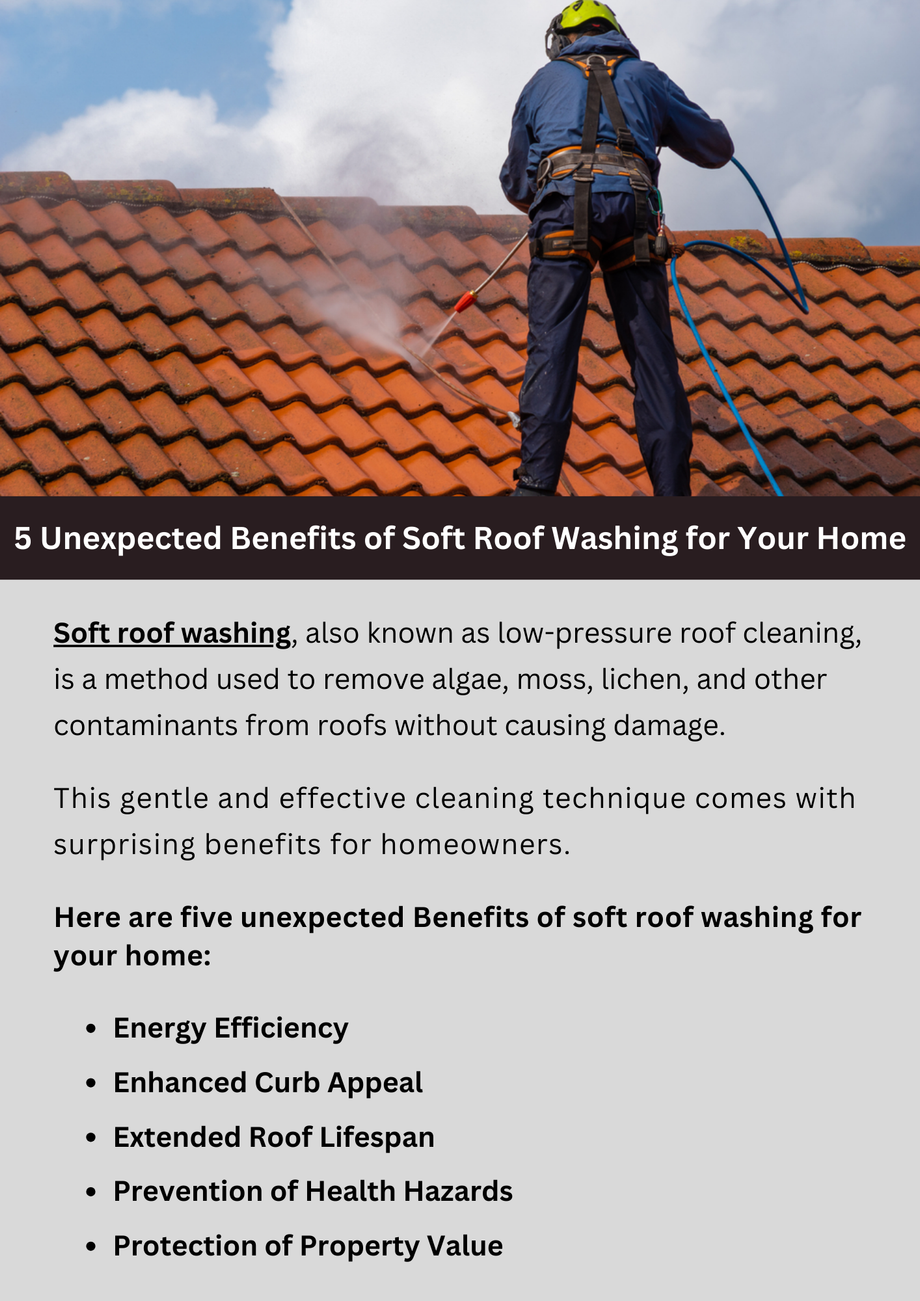 5unexpectedbenefitsofsoftroofwashingforyourhome.png