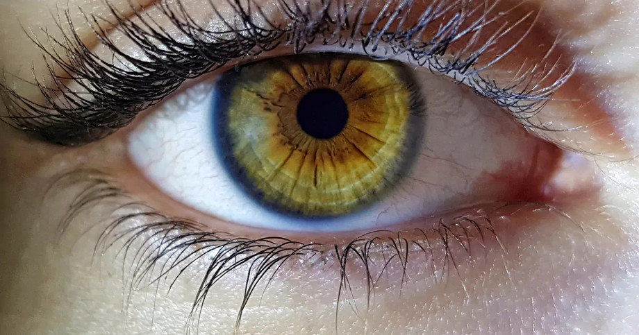 stagesofglaucomapng2.jpg