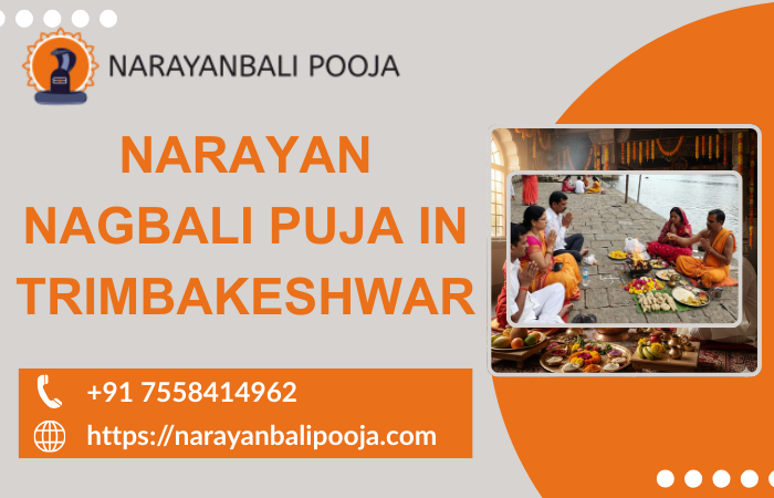 narayan nagbali puja