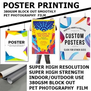 indooroutdoorposterprintingonblockoutpetfilm2.jpg
