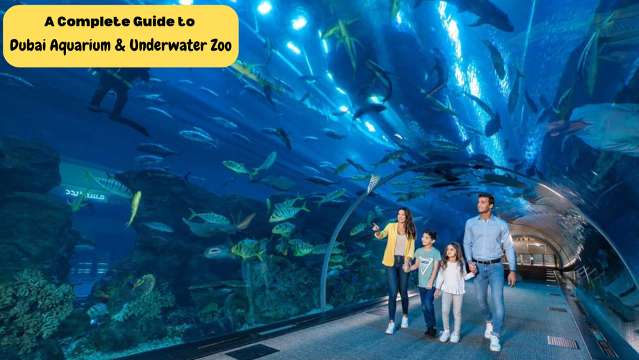 dubaiaquariumunderwaterzoo.png