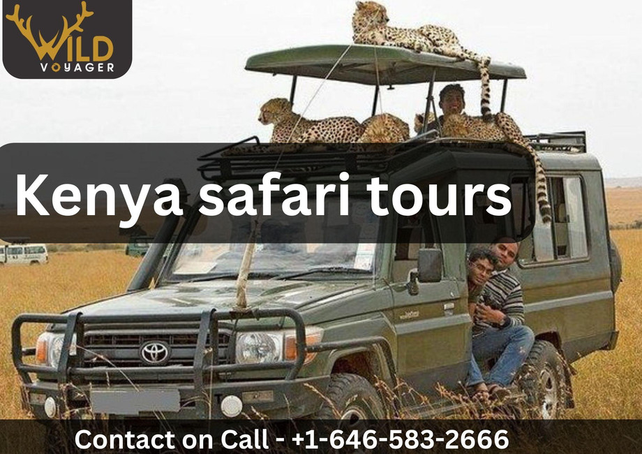 kenyasafaritourswildvoyagerpvtltd.jpg