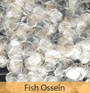 fishscales.jpg
