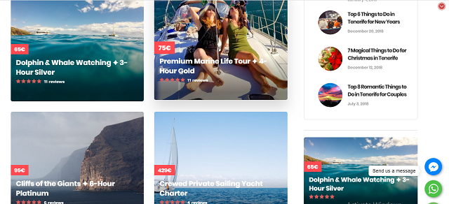 whalewatchingtenerifewhaleanddolphintripwhalewatchingtrip3.PNG