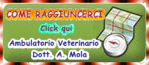 comeraggiuncercidefinitivo.gif