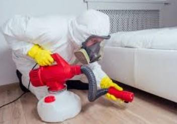 pestinfestationcleaningservices.jpg