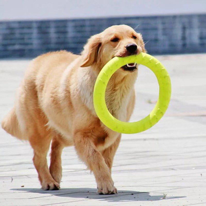 petflyingdiscsevadogtrainingringpullerresistantbitefloatingtoypuppyoutdoorinteractivegame.jpg