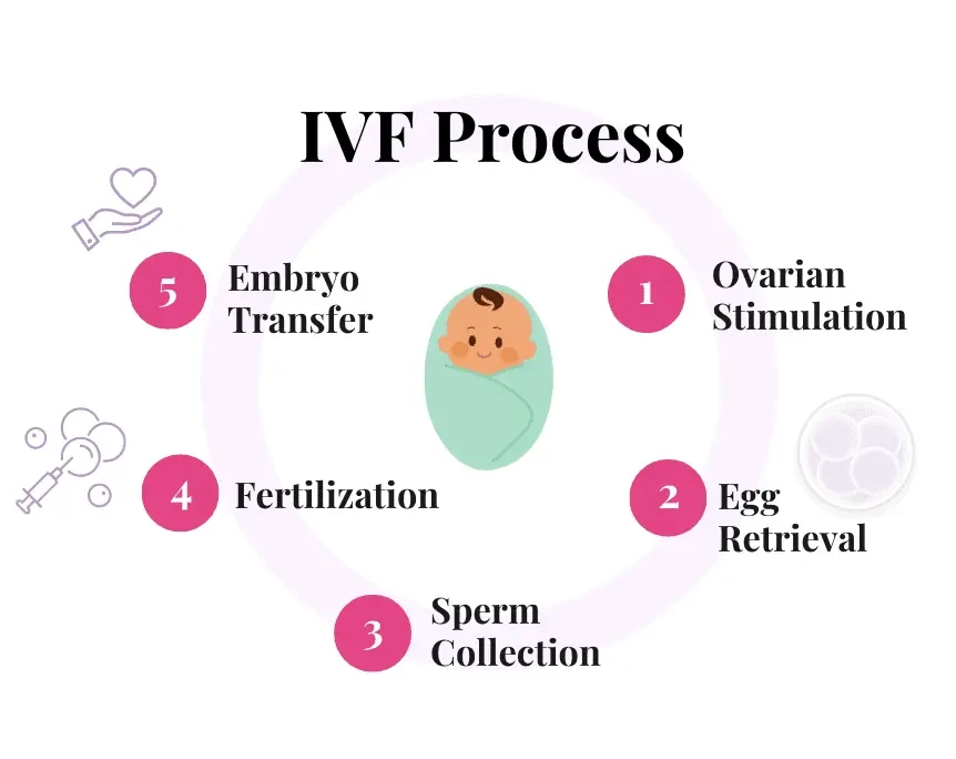 ivf.webp