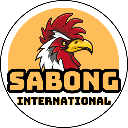sabonginternationallogo.png