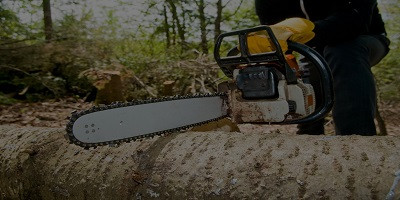 affordabletreeservice.jpg