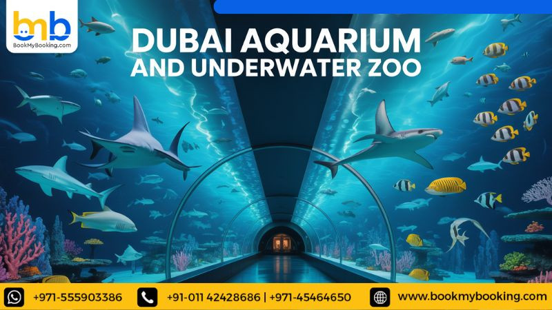 dubaiaquariumandunderwaterzoo.jpg