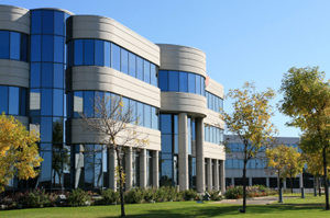 office300x199.jpg