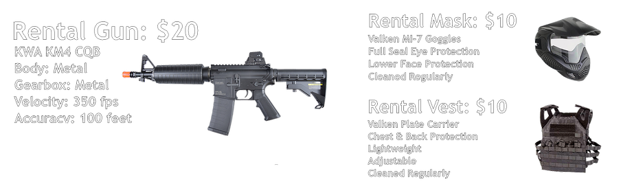rental_2019a.png